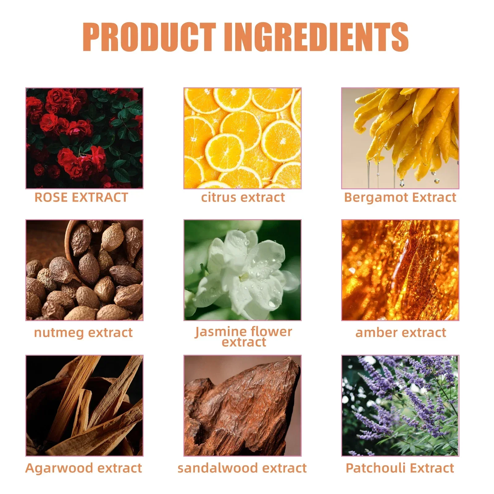 زيت العطور الذهبية - مزيج العود العربي والعنبر والورد. عطر للجنسين يدوم طويلاً مع مكونات طبيعية للارتداء طوال اليوم.