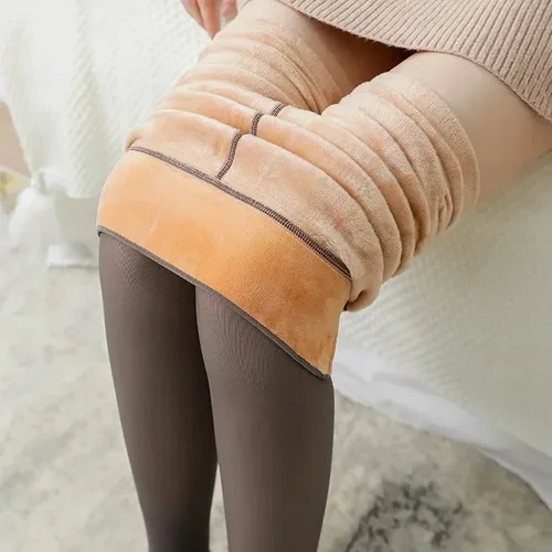 Women's Socks & Hosiery