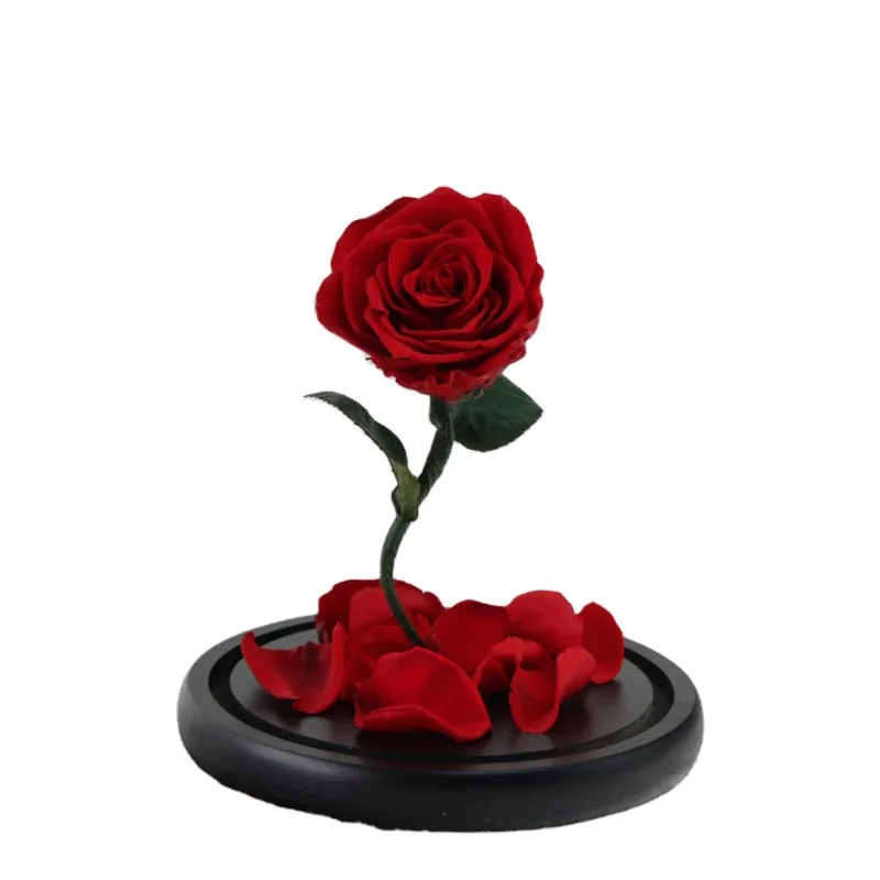 Forever Beast Magic True Rose Modern Luxury Home Decor