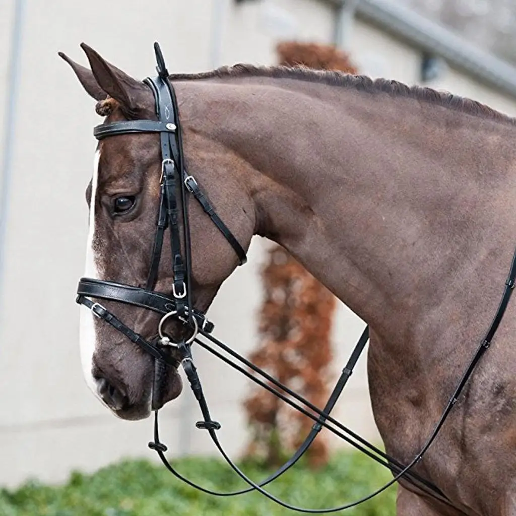 Equestrian perenggang hitam leher fo, perlengkapan latihan kuda dengan gesper plastik