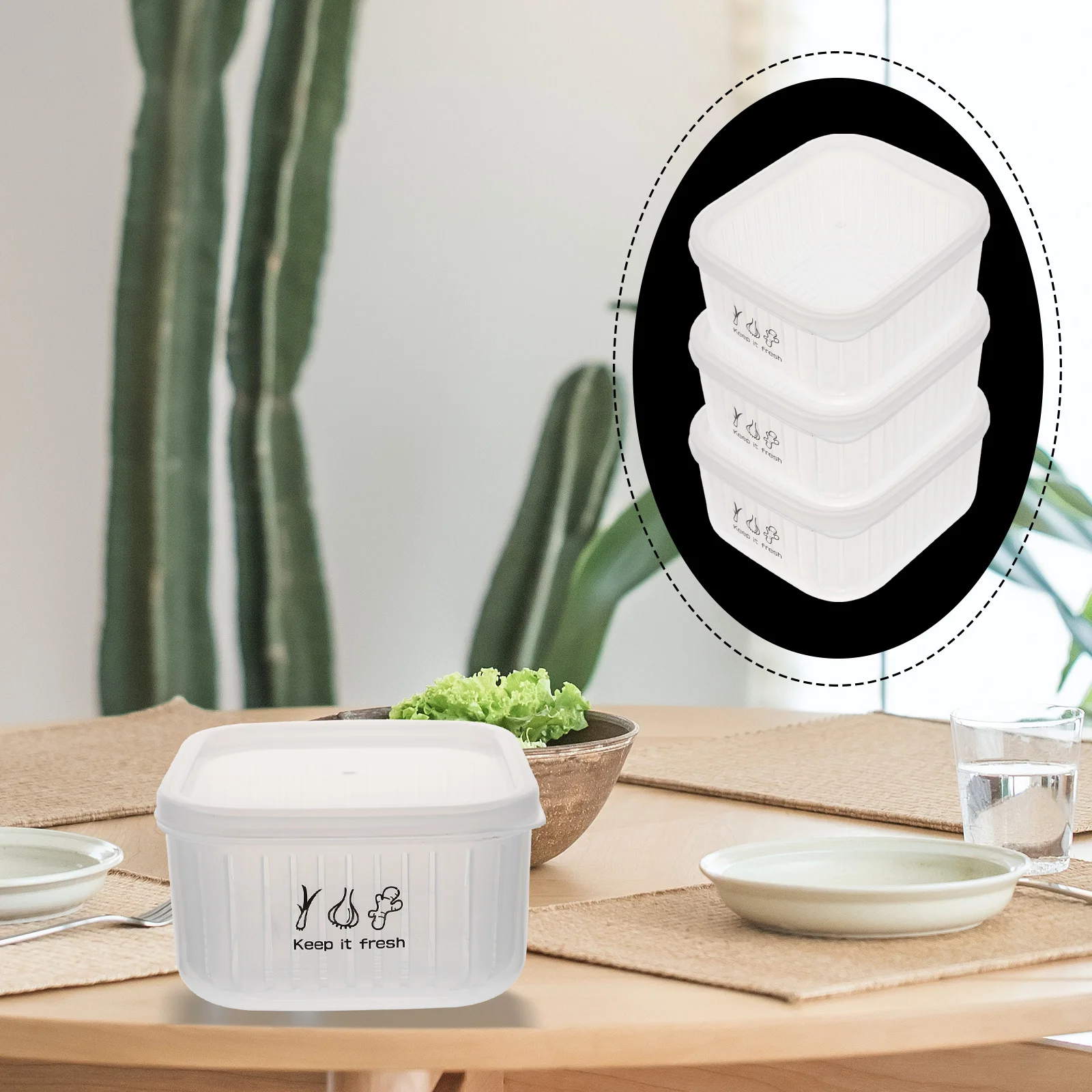 

3Pcs Fridge Food Storage Box Large Capacity Vegetable Storage Box Easy Clean Kitchen Food Holder Plastic Organizers