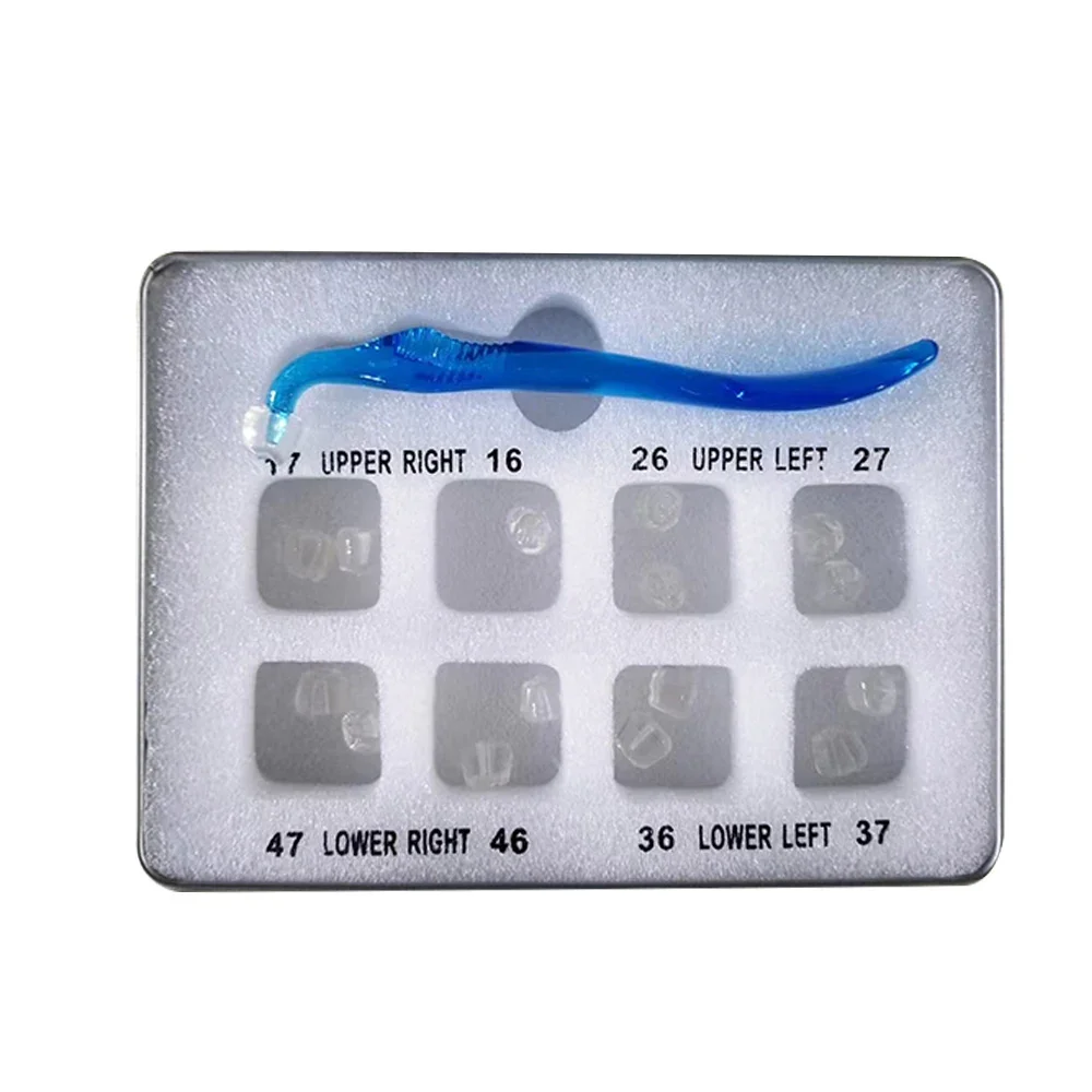 1Set Dental Orthodontic Posterior Teeth Aesthetic Printing Kit Printing Restoration Teeth Quick Built Dentistry tools Material