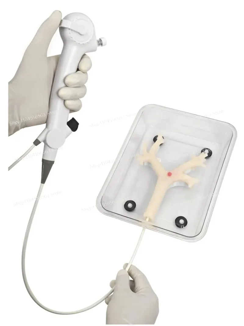 Bronchoscopy Training Model Fiberoptic Bronchoscopy Practice Secondary Branch Soft Non-Damaging Silicone for Medical Education