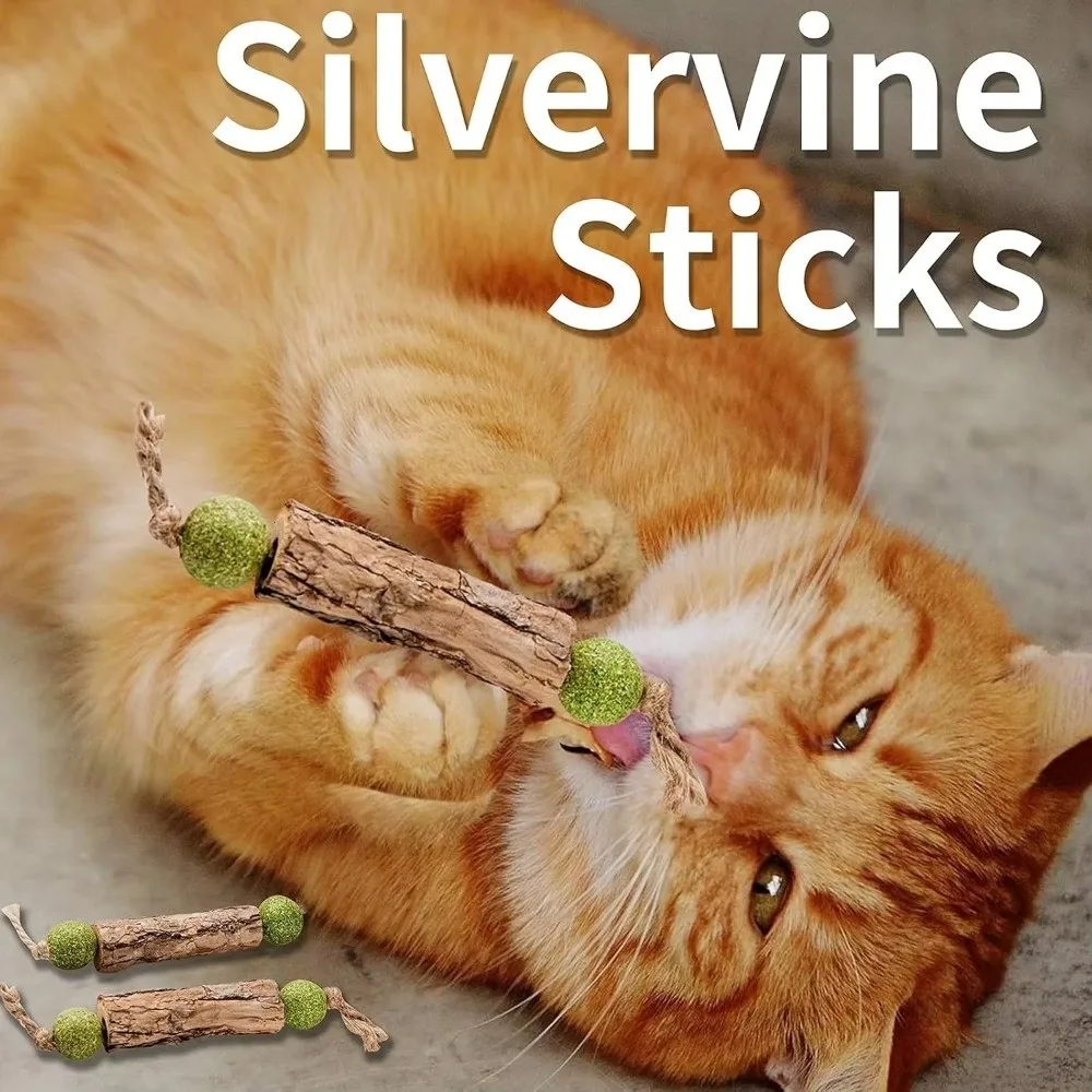Pure Natural Cat Teeth Cleaning Stick Catnip Actinidia Fruit Cat Snack Stick Toothpaste Cat Molar Toothpaste Stick