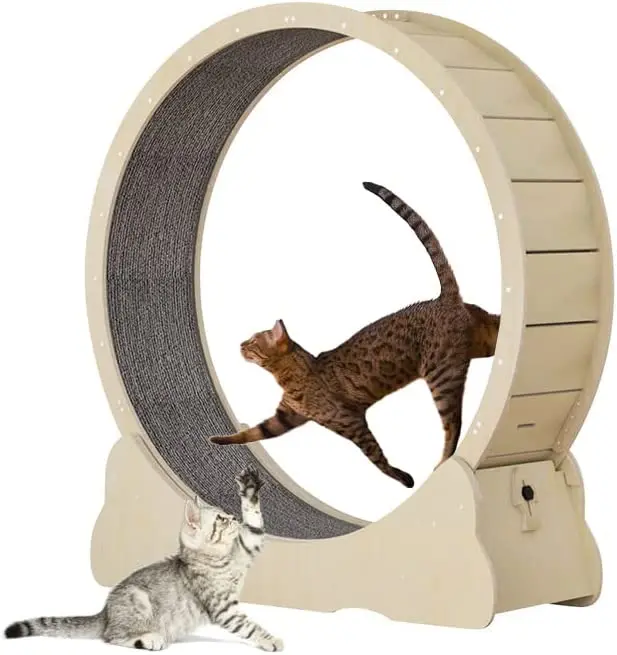 

Cat Exercise Wheel Indoor Toy Cat Toys Large Cat Running Wheel With Carpeted Runway Pet Supplies