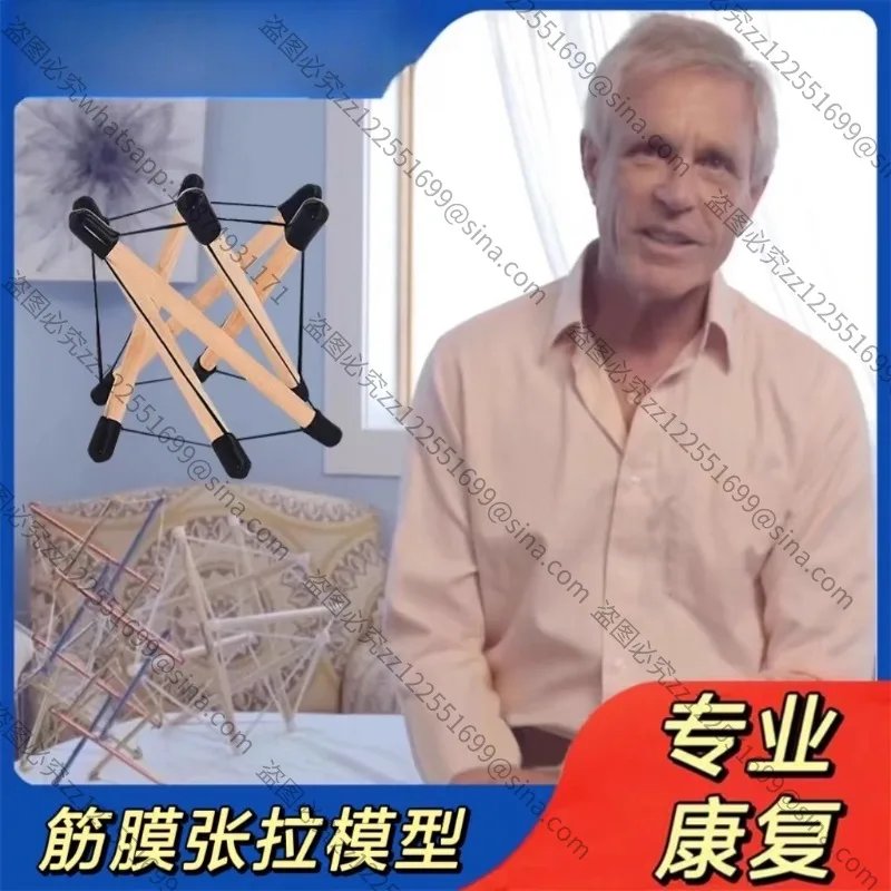 Applicable To Tensile Overall Model Structure Fascia Tensile Body Teaching Aid Demonstration Dynamics
