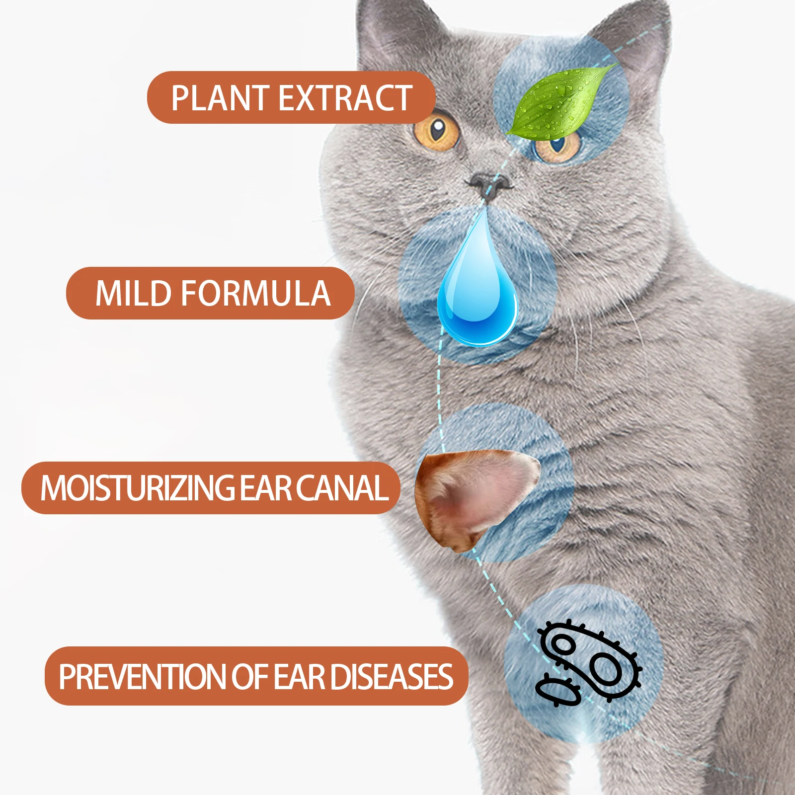 50ml Krople do uszu dla kotów  – Pet Ear Cleaner recenzja i cena