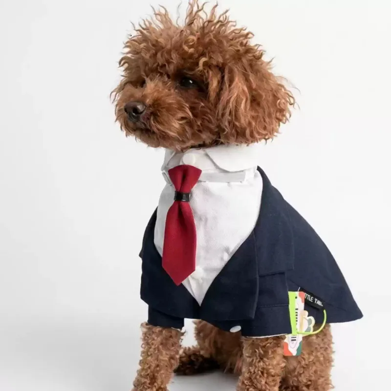 Abito da cerimonia per cani e smoking elegante per cani grandi_voghion.com