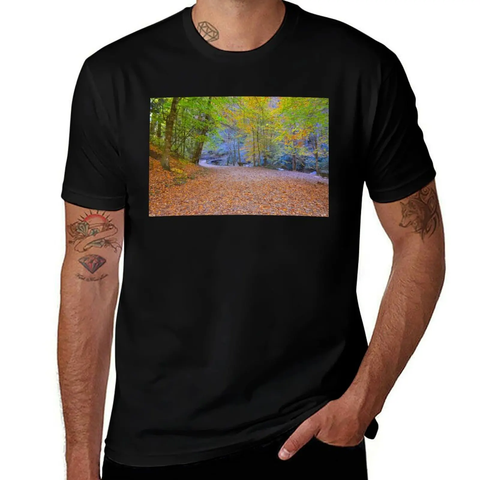 

Hiking Through Autumn In The Great Smoky Mountains National Park T-Shirt anime mens designer clothes