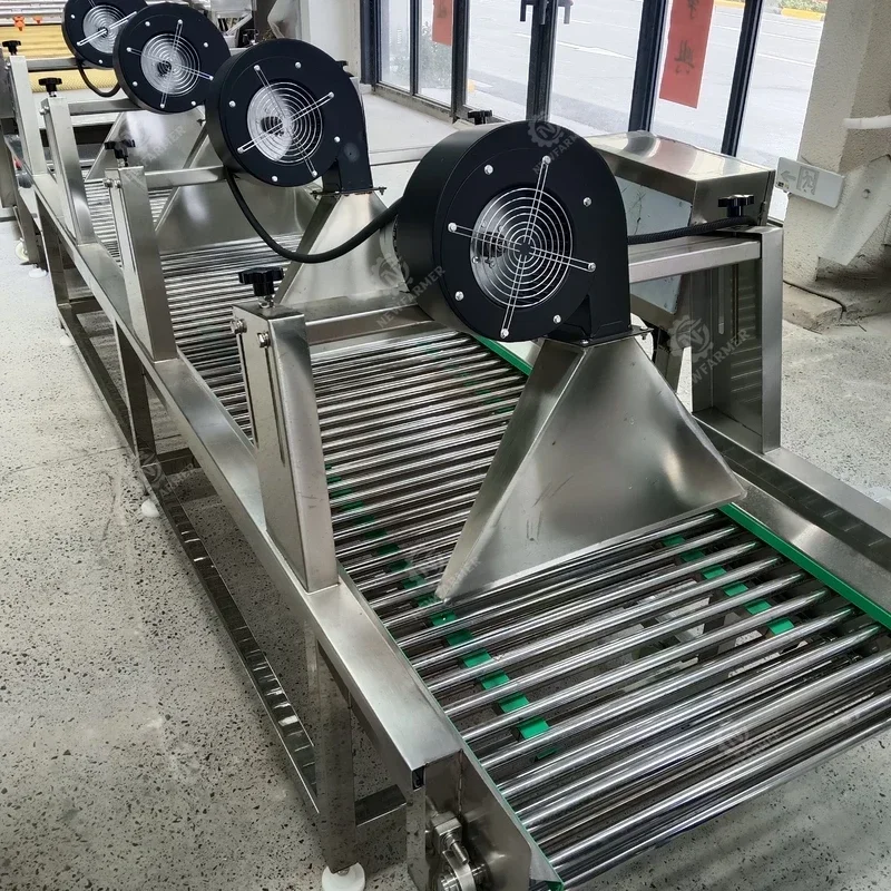 Stainless Steel Vegetable And Fruit Air Drying Equipment Fruit Vegetable Wind Dryer Air Flow Drying Machine