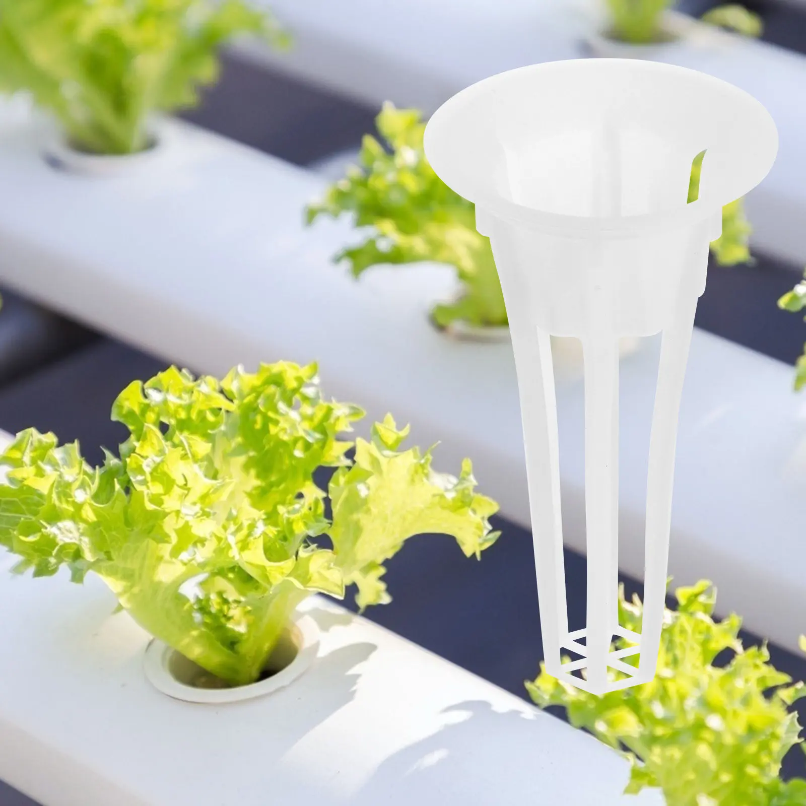 50Pcs Hydroponic Baskets Plastic Soilless Planting Basket Hollow Design for Root Aeration Growth Support Garden Supplies view 5