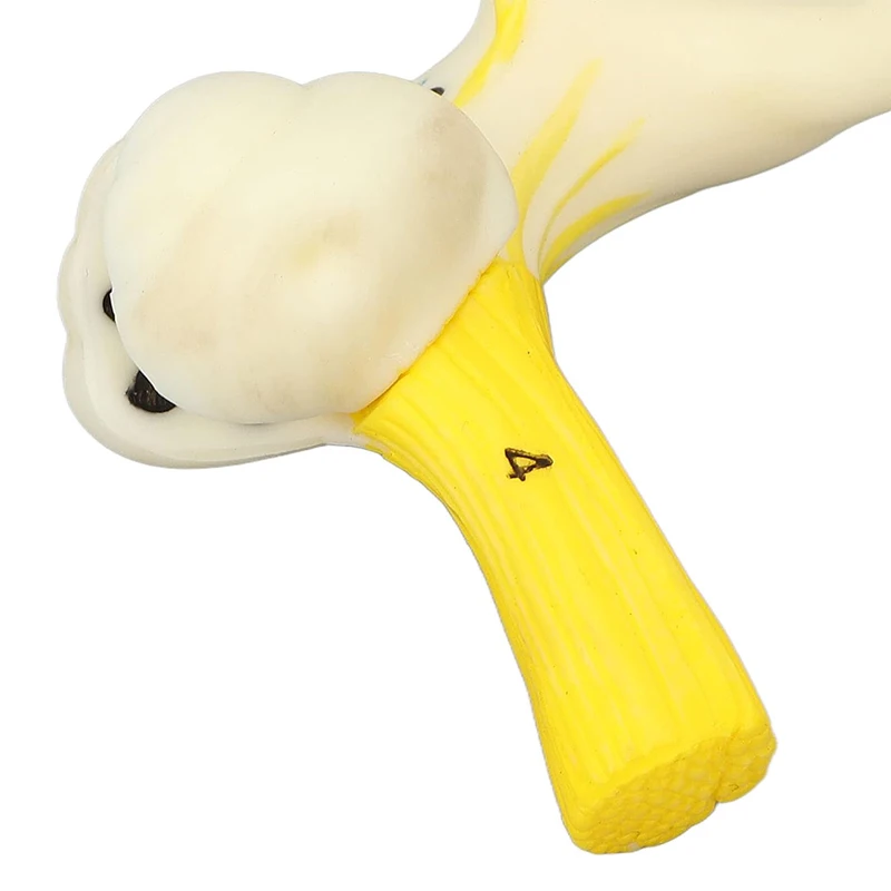 Labyrinthine Inner Ear Model Semicircular Canal Cochlea Anatomical Model Medical Otology Cochlear  Anatomy