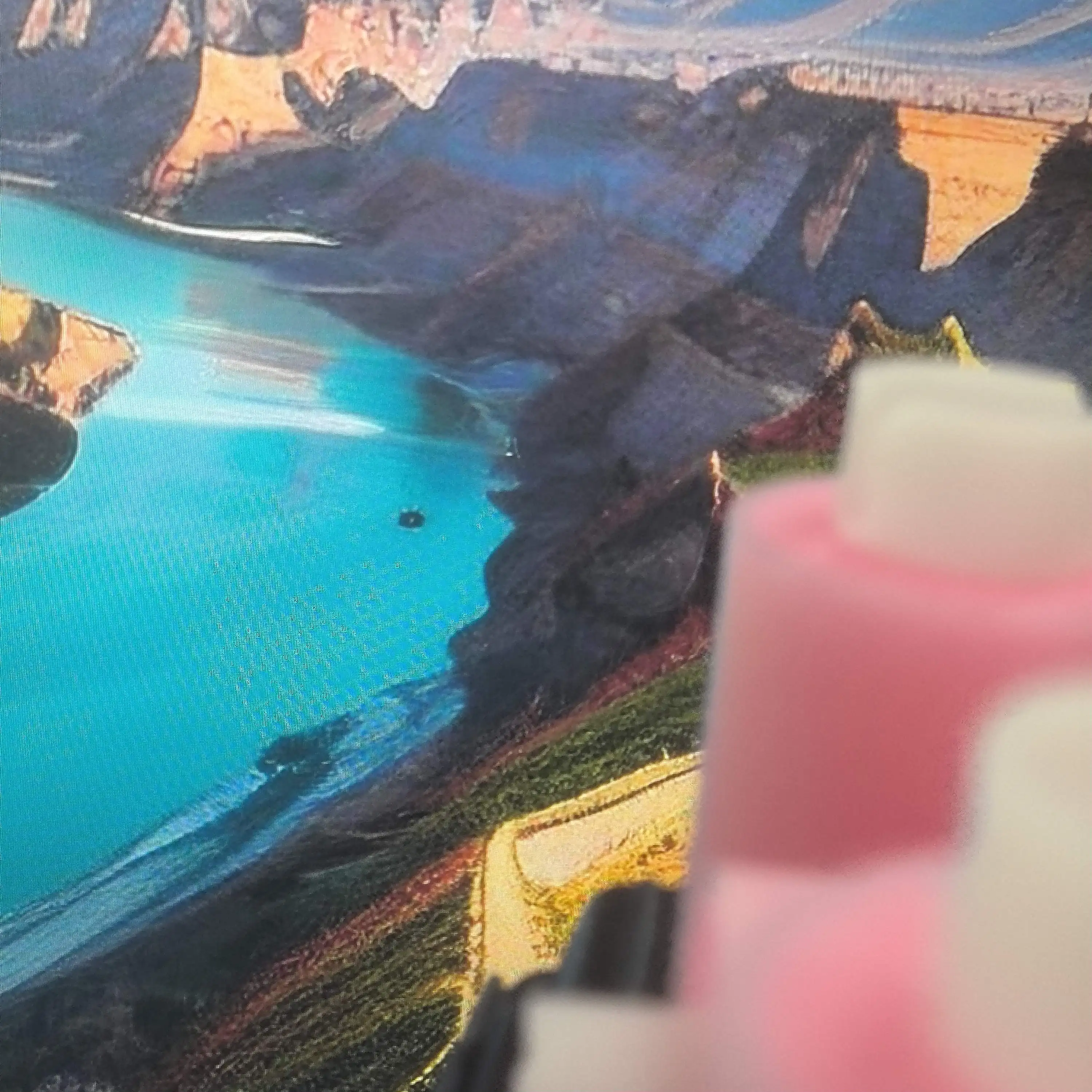 

20Pcs Long Life Seperation Roller FC5-2528-000 For use in Canon ADV6055 6065 6075 6255 6265 6275 8105 8095 8085 8205 8295 8505