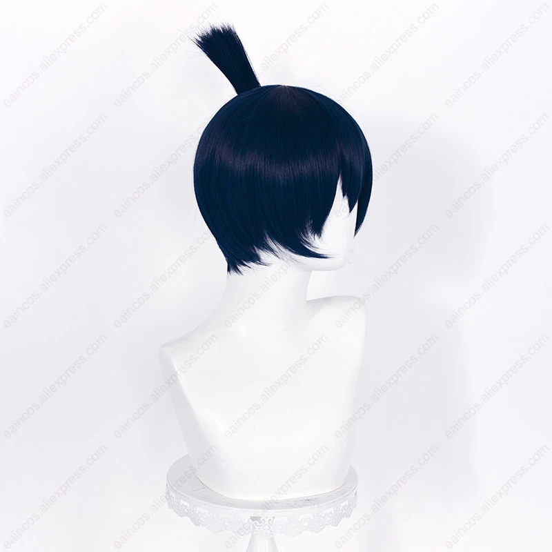 Peluca de Anime Hayakawa Aki para Cosplay, pelo corto azul y negro de 30cm, resistente al calor, para fiesta de Halloween