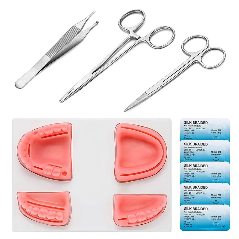 

Dental Practice Kit, Oral Model, Riveted Needle, Training Instrument Kit With Selica Gel