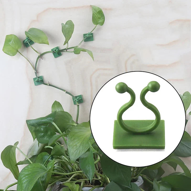 20pcs Home Garden Plant Climbing Wall Fixture Clips Rattan Vine Fixer Self-Adhesive Plant Climbing Wall Fixed Buckle Hook