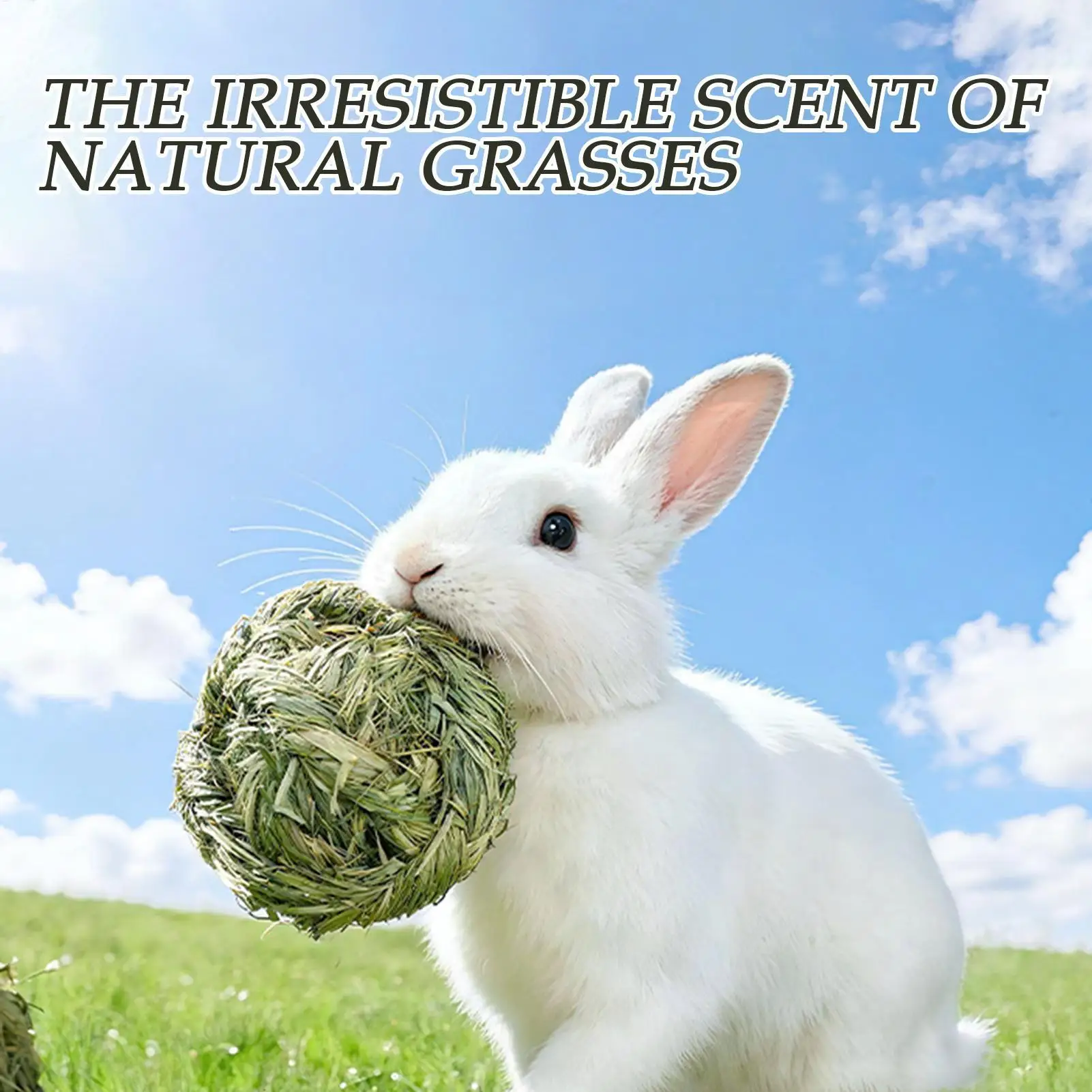 Juguetes para Masticar para Conejos, Bolas de Heno Timothy, Juguete de Hierba Natural Comestible para Moler los Dientes, Bolas de Heno para Jugar para Hámsteres y Animales Pequeños