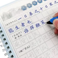 6Pcs 3D Chinese Characters Reusable Groove Calligraphy Copybook Erasable pen Learn hanzi Adults Art writing Books