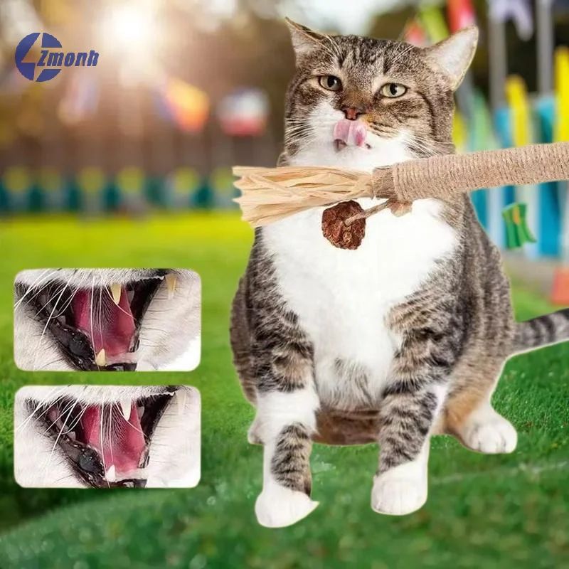 New！1/2PCS Cat Toys Made Of Wood Knotweed Teething Sticks  Galls Raffia Sisal Rope Teeth Cleaning Toys Cat Teasing Sticks