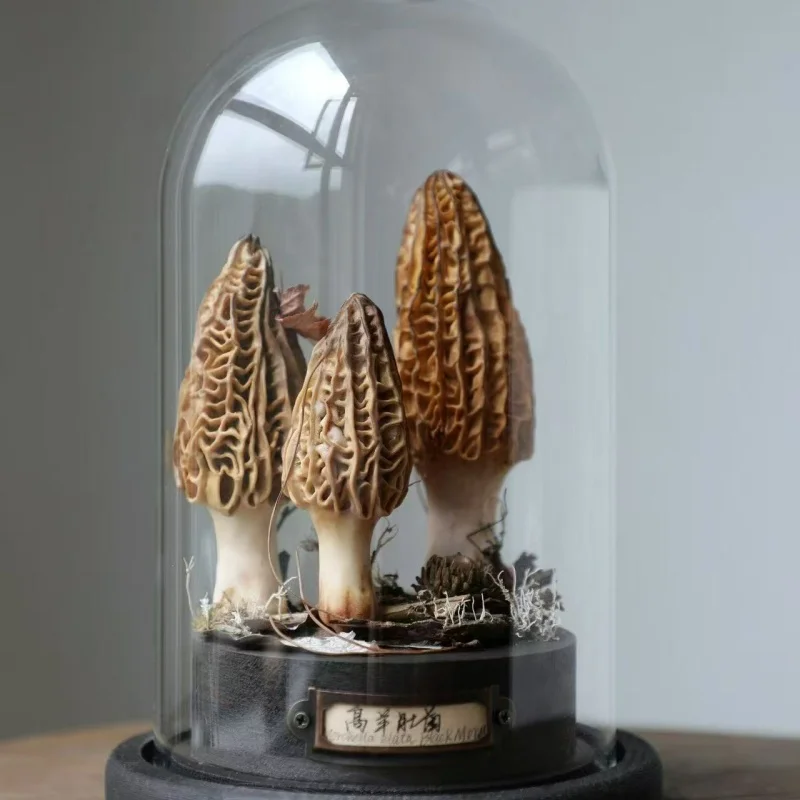 Ornamentos de cogumelo artesanais feitos à mão, brinquedos de mesa, coleção de arte personalizável e decoração, presente para crianças