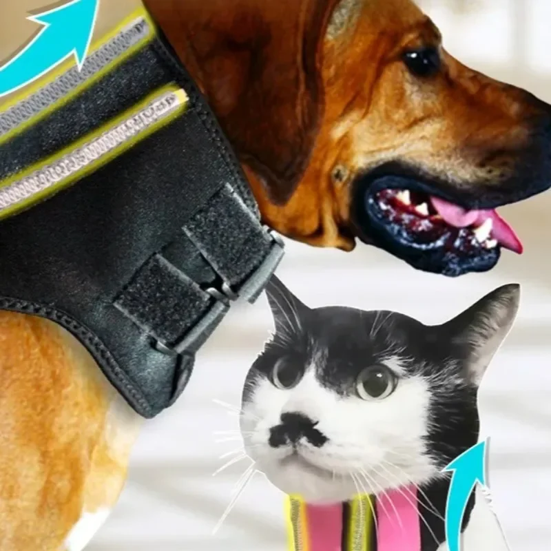 Dog Neck Brace for Cervical Support Adjustable Pet Neck Collar for Injury, Post-Surgery Cervical Splint for Spinal Stabilization