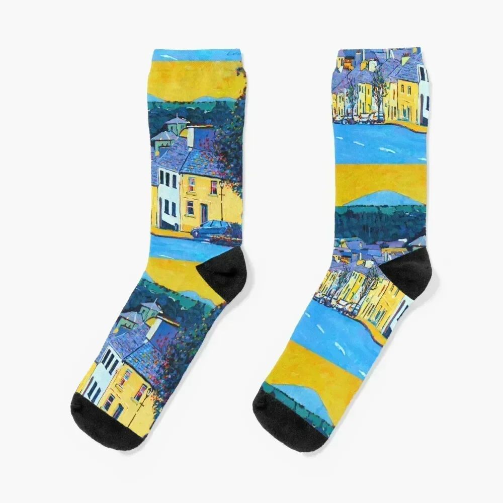 Westport High Street, County Mayo, Ireland Socks Men's cartoon FASHION ankle Designer Man Socks Women's