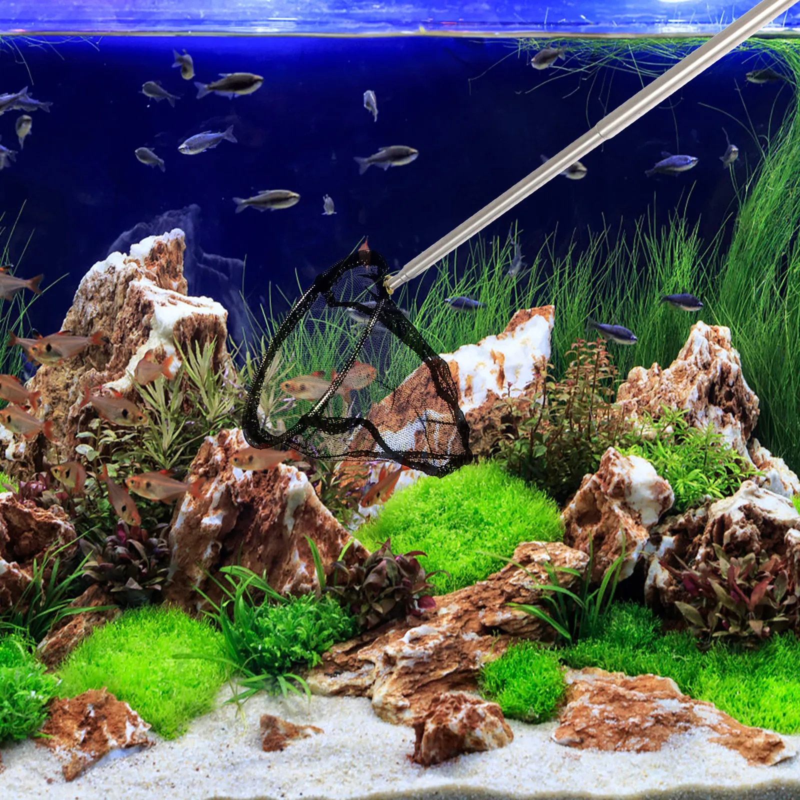 

Retractable Fish Landing Net Stainless Steel Telescopic Pole Non Slip Comfortable Freshwater Saltwater Fishing Tackle Catch