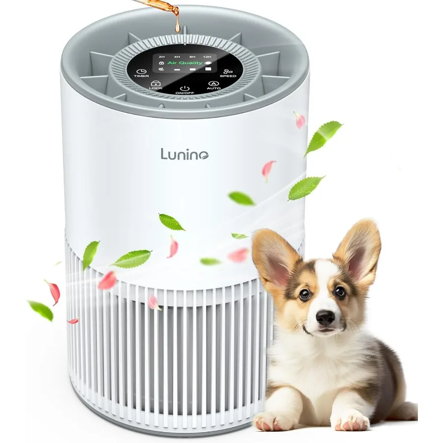 Air Purifiers For H… - image