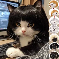 Peluca para mascotas, peluca de parodia para perros y gatos, suministros para mascotas, accesorios navideños para mascotas, pelo rizado, pelo liso, accesorios para peluca de pelo tejido a mano Diy