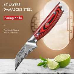 F.YOUNG 3.5 Inch Paring Knife 67 Layer Damascus Steel Sharp Utility Vegetable Peeling Fruit Kitchen Chef Knife Household Tools