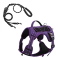 Purple 2