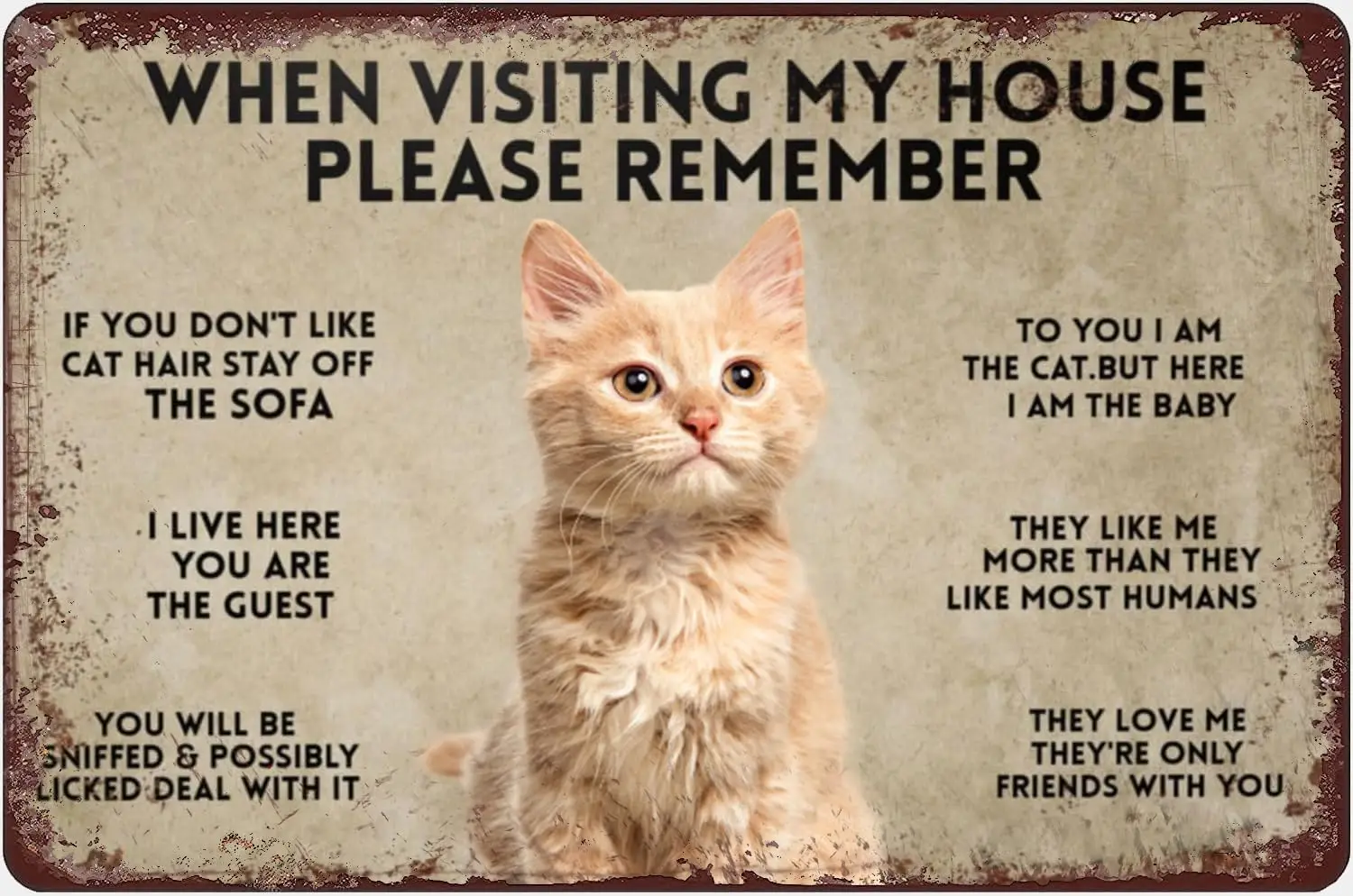 When Visiting My House Please Remember Retro Metal Tin Sign Cats Poster Cat Wall Decor For Home Garden Bar Restaurant Cafe Offic