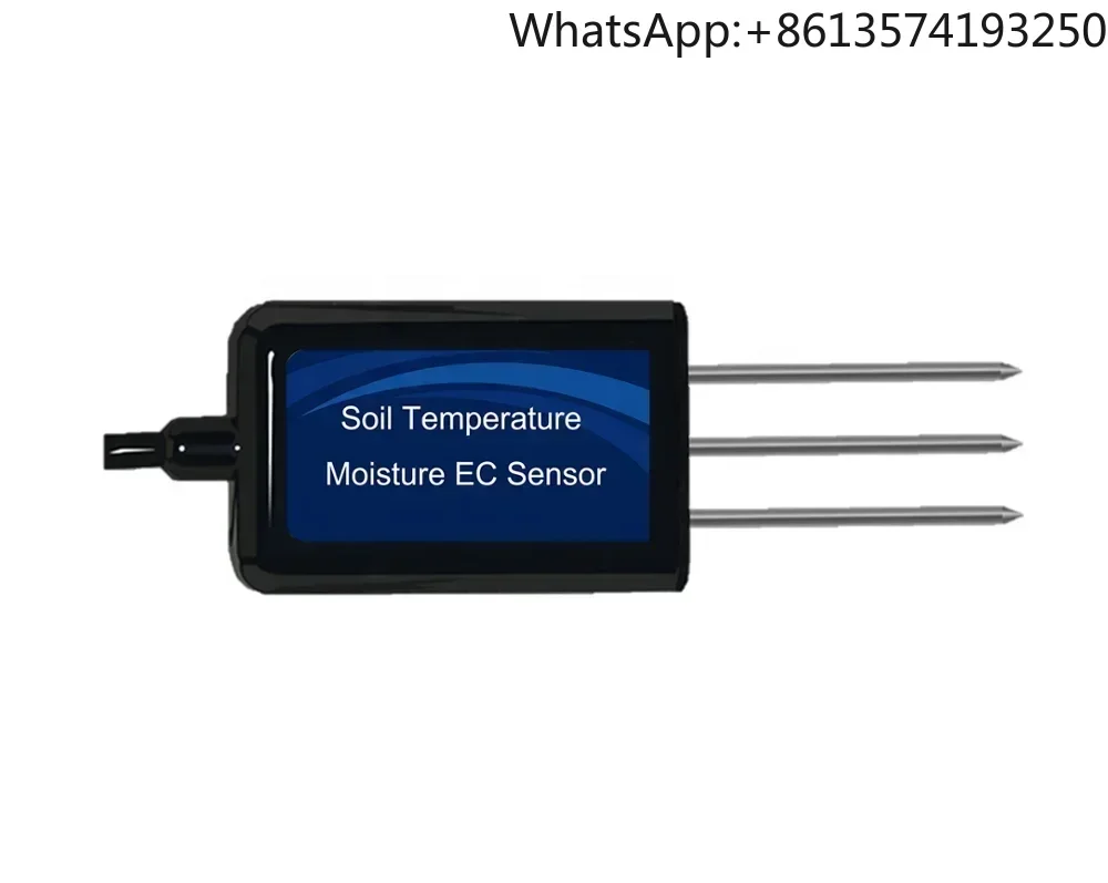 Server Software Lor…