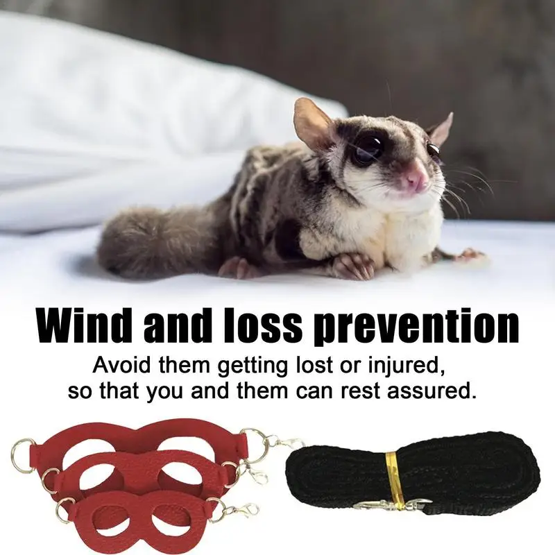 Sugar Gliders Training Set Leading Chain Rope 3 Pieces Sugar Gliders Strap Walk Training Comfort Harness Vest