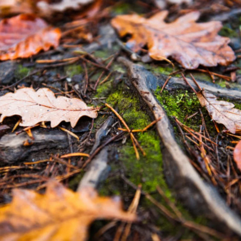 

Комплект шин и дисков для радиоуправляемых автомобилей 1/7 1/8 для ARRMA TRX4 Redcat — 100 мм, наружный диаметр 40 мм, ширина 17 мм, шестигранные неразвязанные колеса для WRC KM Citroen C3 WR8