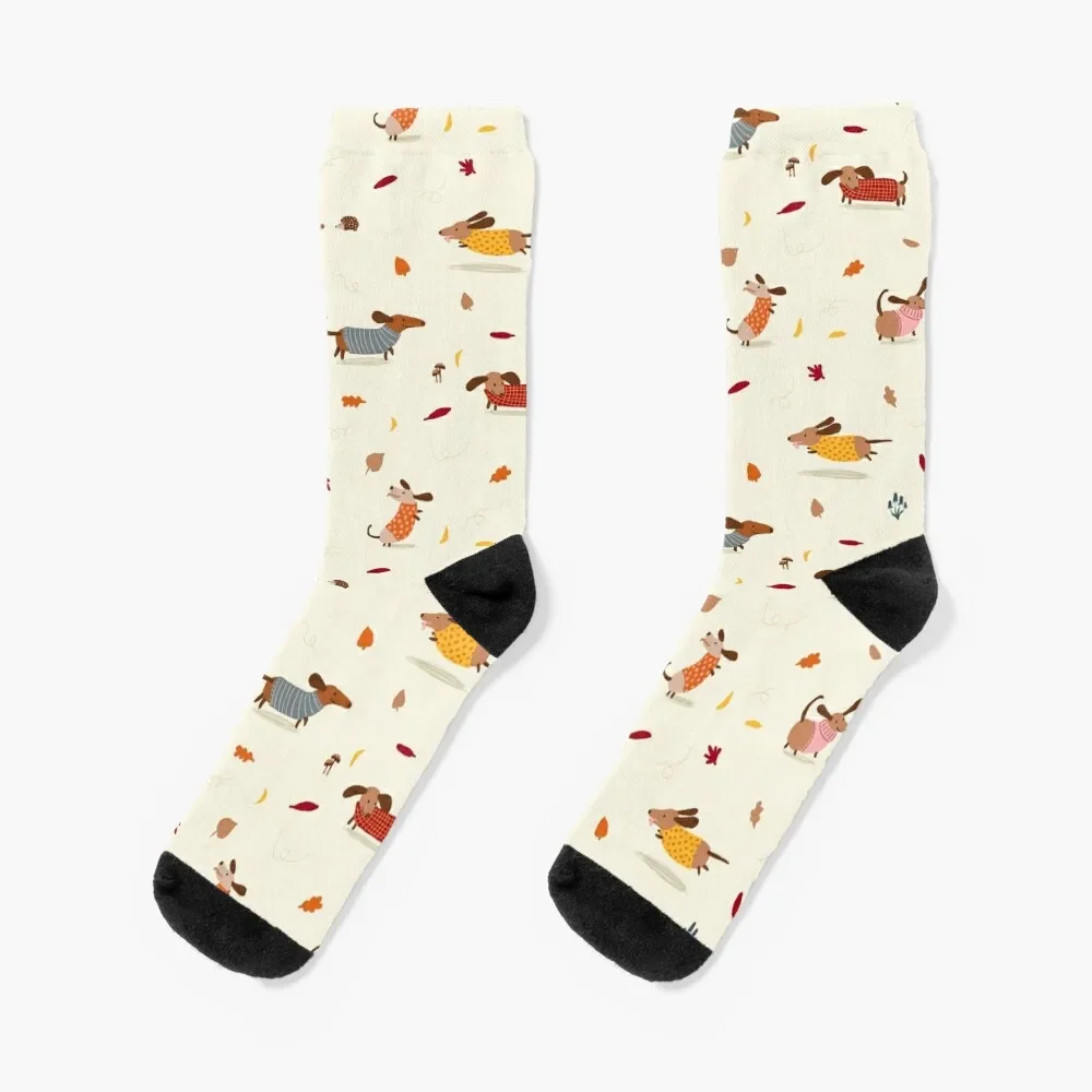 

Cute Dachshunds in Winter Sweaters with Autumn Leaves Socks funny gifts Lots colored gym Socks For Man Women's