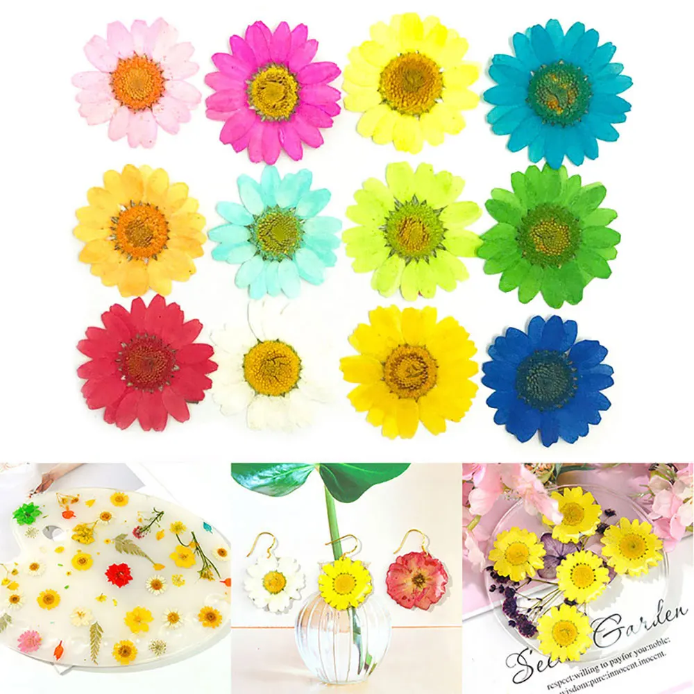 For Fun Natural Dried Flower for DIY Epoxy Resin UV Pendant Necklace Jewelry Making Craft Accessories Dry Plants Flowers Decor