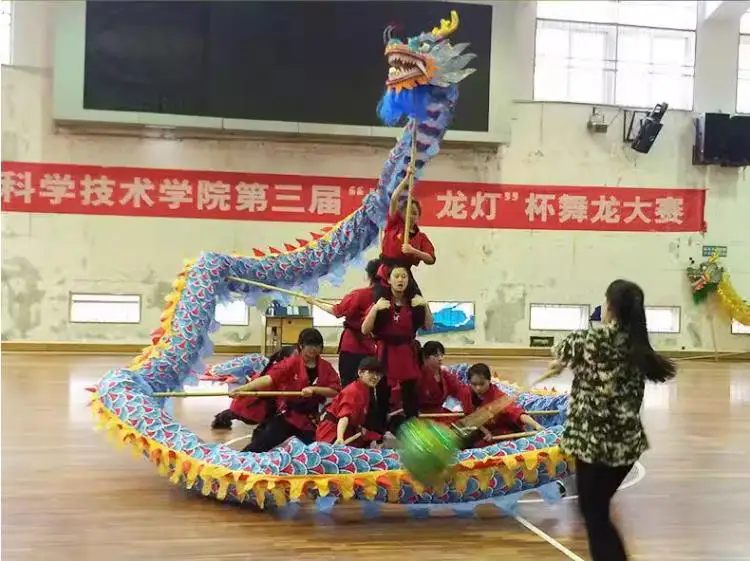 

Adults 14m Silk Dragon Dance Costume size 4 for 8 Players Halloween Carnival Festival Party Christmas Parade Folk Stage China