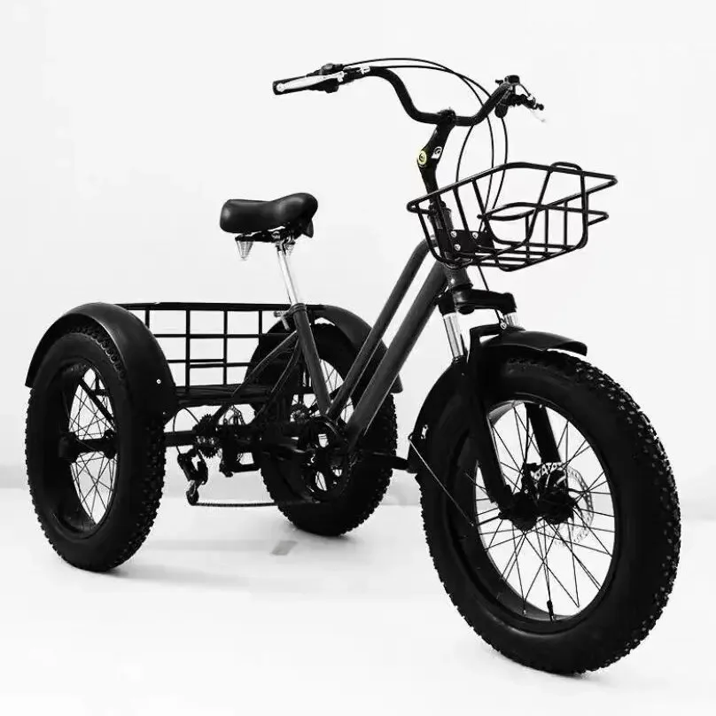 3-wielige elektrische driewieler voor volwassenen 750W 20-inch 3wieler elektrische fiets voor oude mensen Pedaal Trekstang Mand Ebikes