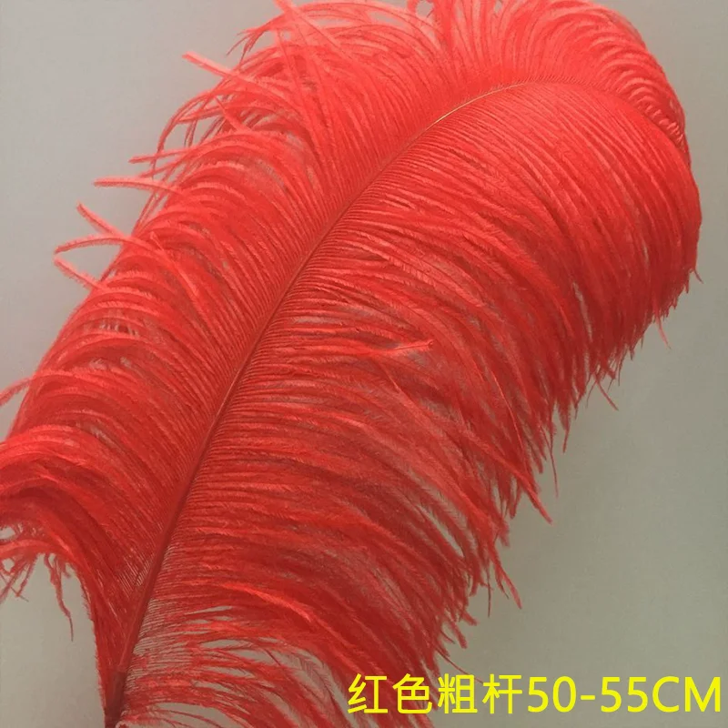 

Plumas! Veren! Fluffy Red ostrich feather 50-55cm/20-22inches beautiful plumages diy jewelry material wedding decorations