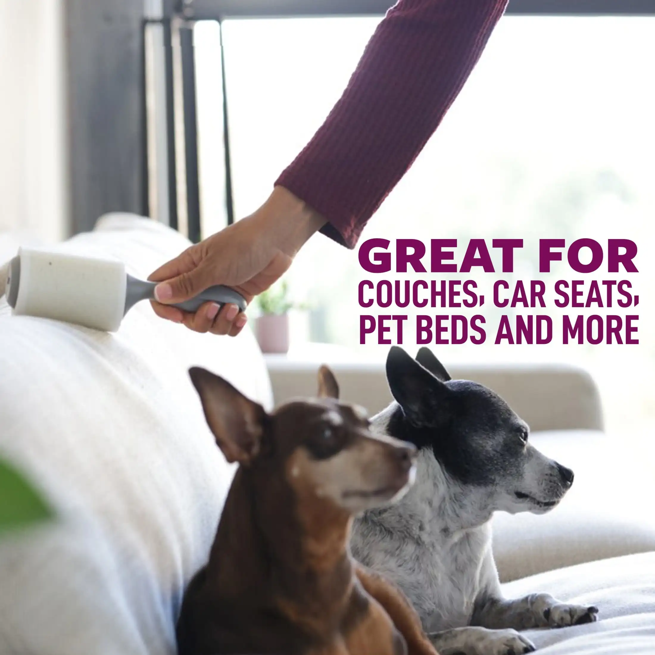 Rullo per pelucchi extra appiccicoso, 95 fogli per rullo