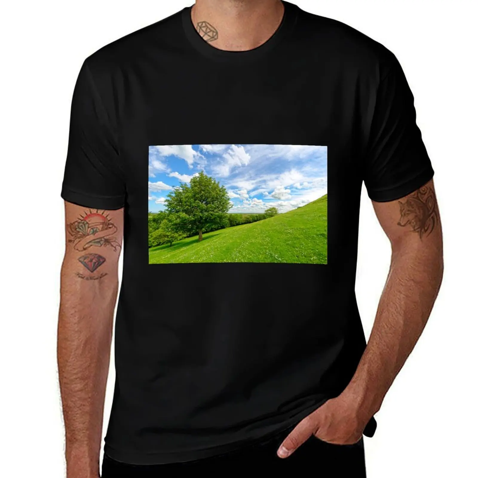 

Views of Southgate Moor and the Somerset Levels from Burrow Mump T-Shirt cute tops mens designer clothes