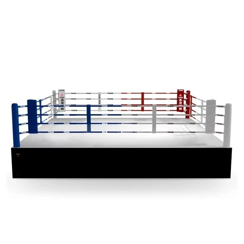 

Customizable Portable Gym Boxing Ring 6.9m*6.9m Steel Construction for Boxing/Muay Thai