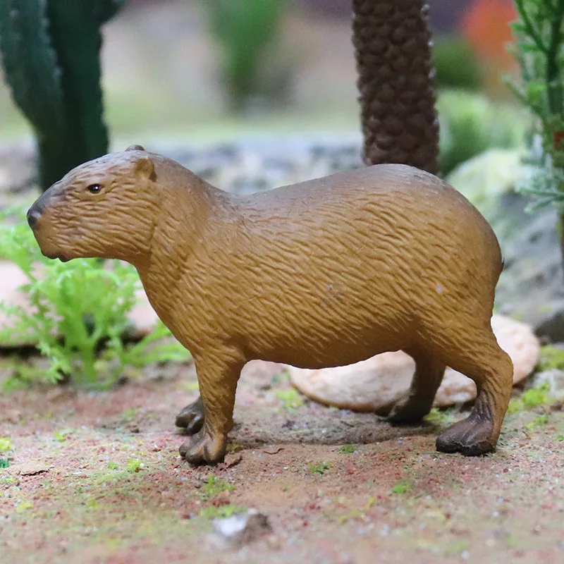 2023 New Zoo Wildlife Insects Capybara Farm Animal Model Figurine Musk Oxen Squirrels Action Figure Collection Children's Toys