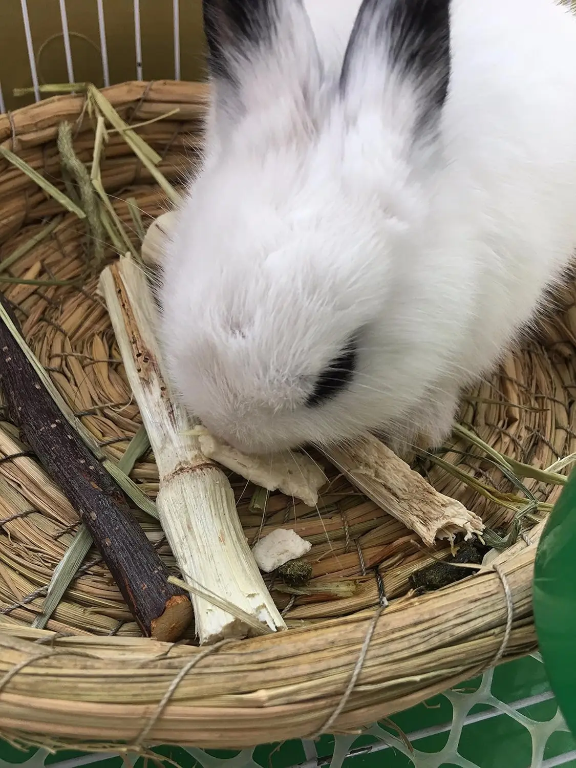 Bastoncini di bambù dolci giocattoli da masticare per conigli criceto cincillà porcellini d'india scoiattolo piccoli animali pulizia dei denti bastone di bambù