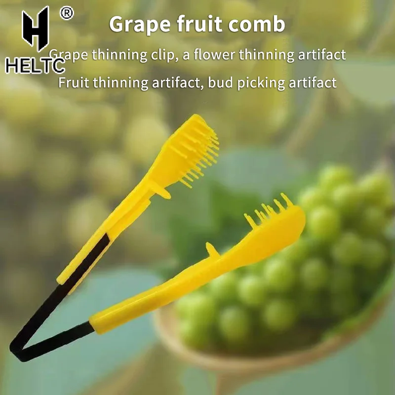 6.69Inch Grape Prun… - image