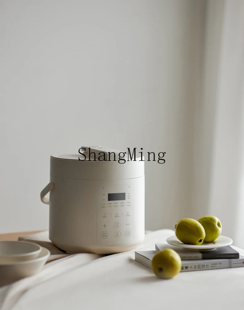 ZYY pentola a pressione elettrica istantanea non rivestita piccola mini pentola a pressione da 2 litri per uso domestico