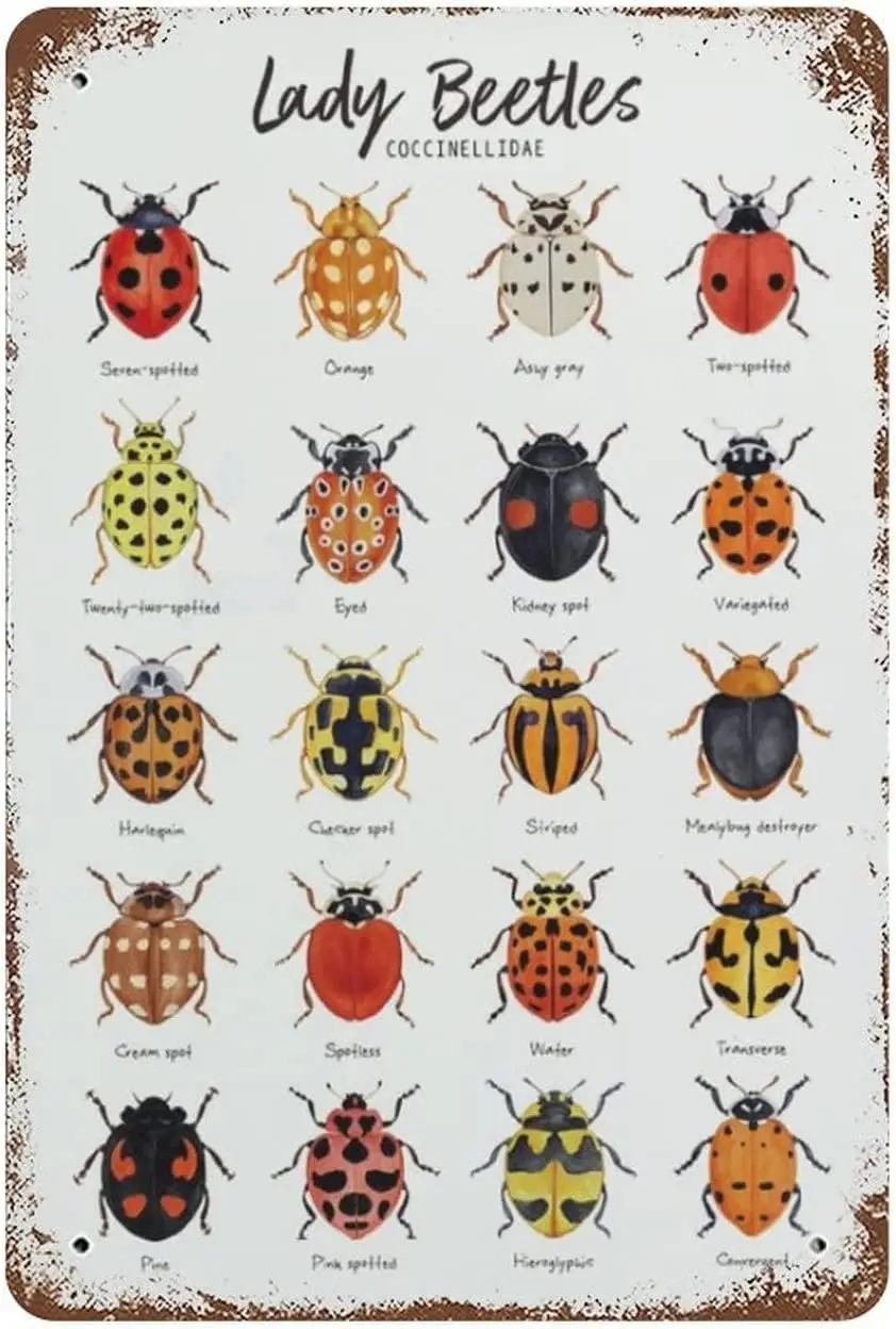 Vintage Metal Tin Sign Lady Beetles Ladybugs Ladybirds Home Decor Funny Novelty Kitchen Bar Club Garage Garden Farm Wall Art