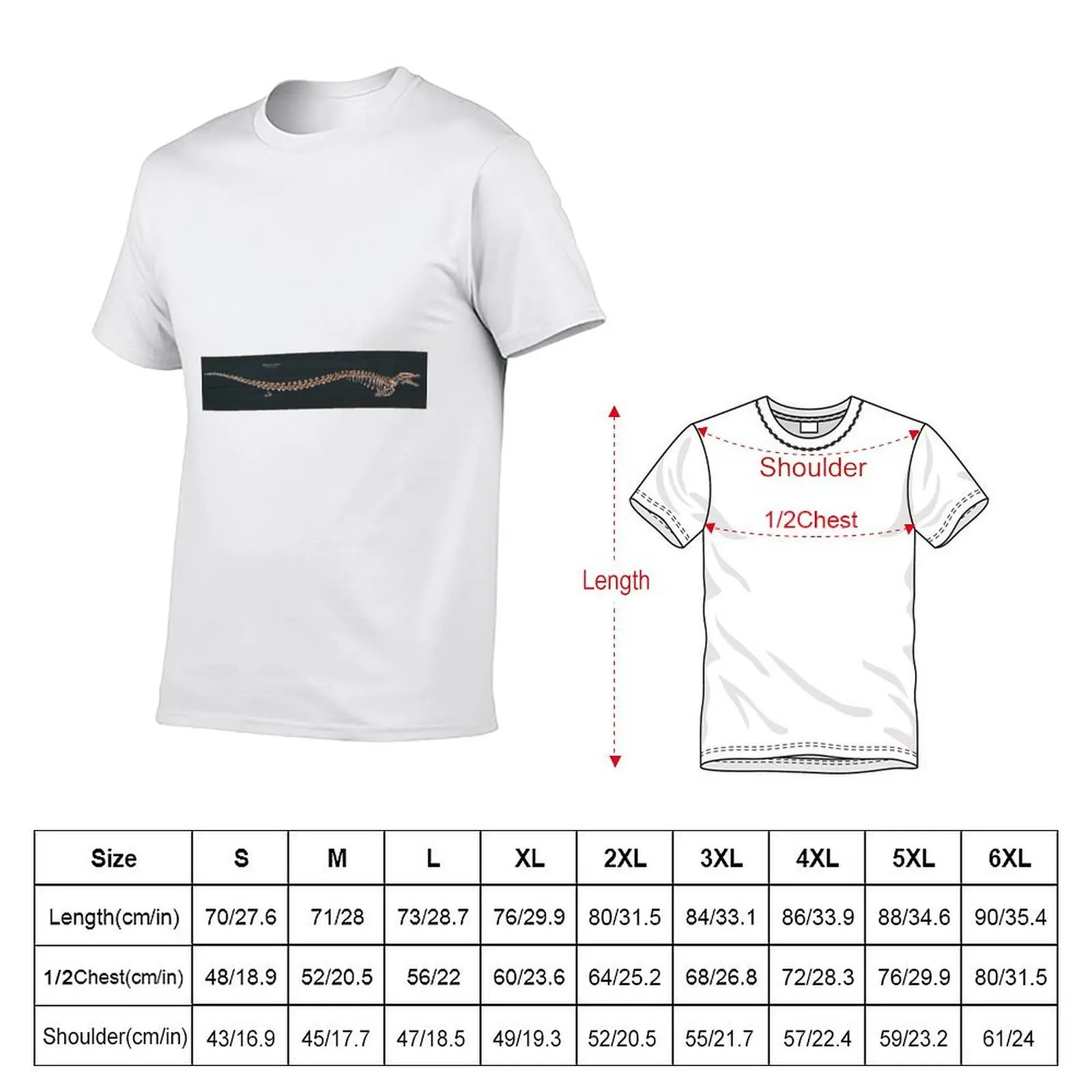 Basilosaurus Cetoides Skeletal Study T-Shirt vintage man t shirt luxury clothes men