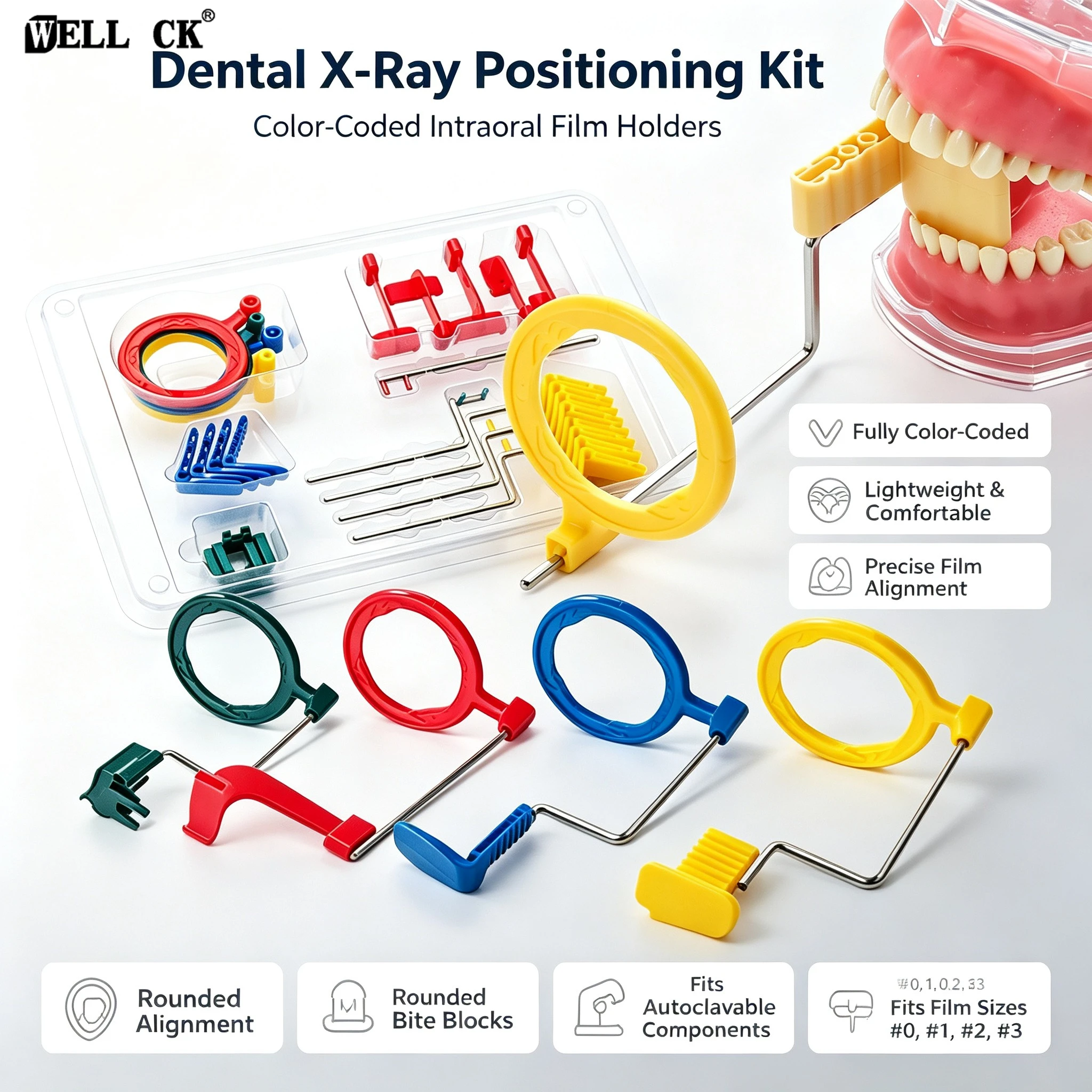 Dental Radiography Parallel Sensor Kit Laboratory Tools and Materials X-Ray Film Positioner Oral Consumables and Accessories